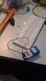 Fixed resistors.jpg