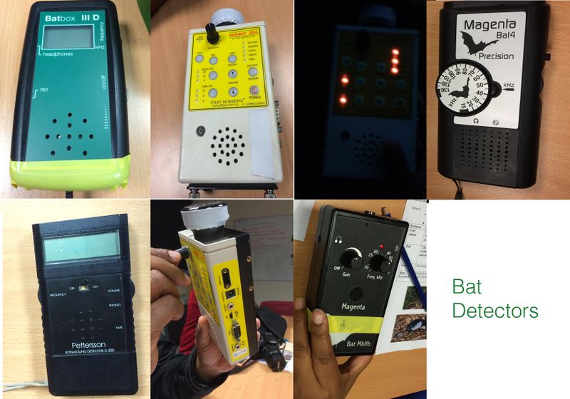 File:Bat detectors.jpg