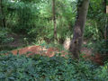 Badger house.jpg