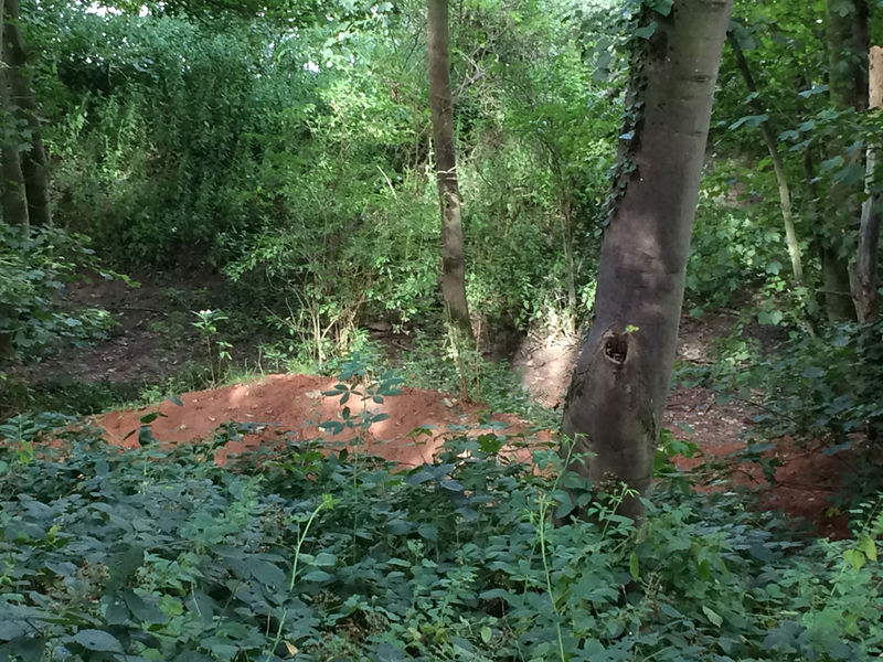 File:Badger house.jpg