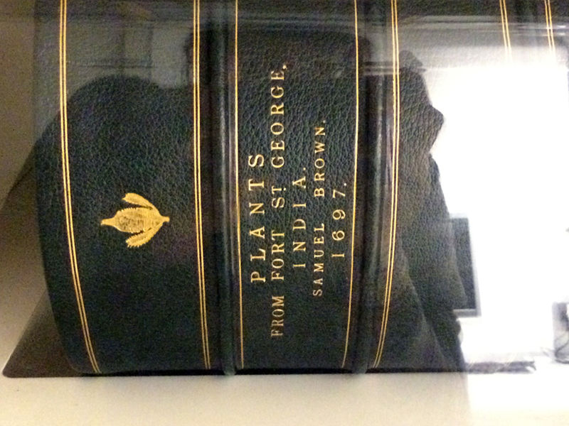 File:Plant book india 1697.jpg