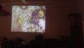 IMAG0564.jpg