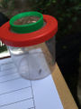 Insect box.jpg
