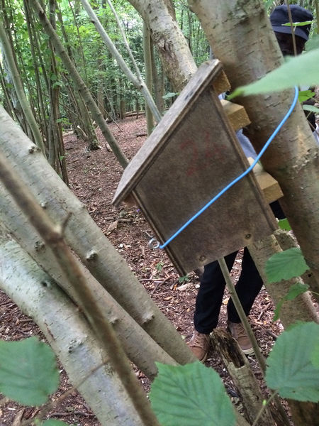 File:Trap.jpg