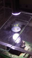 IMAG0561.jpg